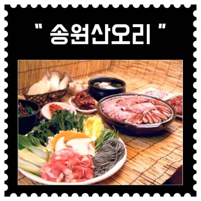 [주안] 송원산오리 (상시모집)