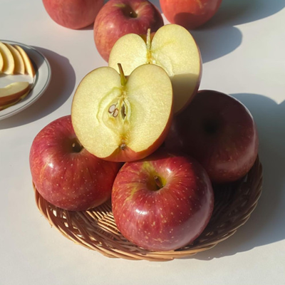 [제품형] 사과 / 꿀찬들사과