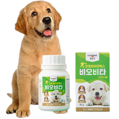 강아지 유산균 신제품 비오비타펫 #일동제약 #31-1차