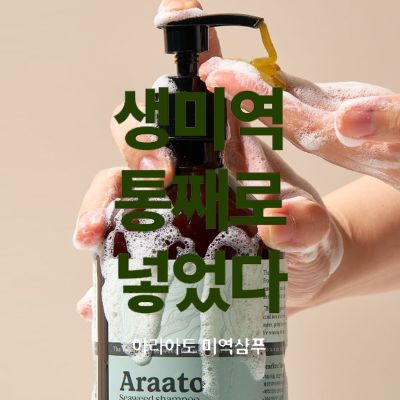 [로로하] 두피케어 끝판왕! 아라아토 미역샴푸 체험