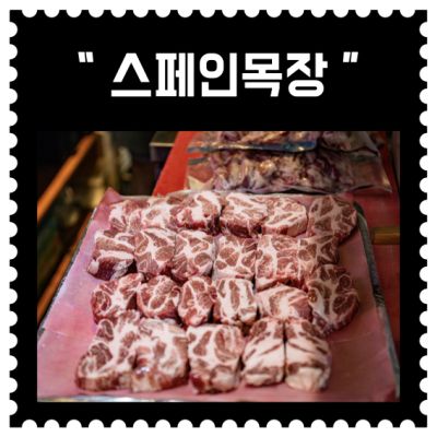 [인천] "스페인목장 송도8공구점" (3회차)